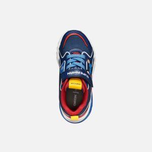  BLEU ET ROUGE