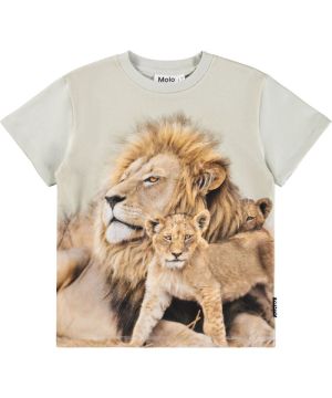  9726 Lions