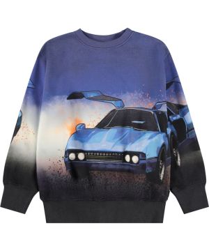  4991 Bleu voitu