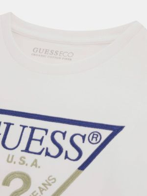  G011 Blanc pur
