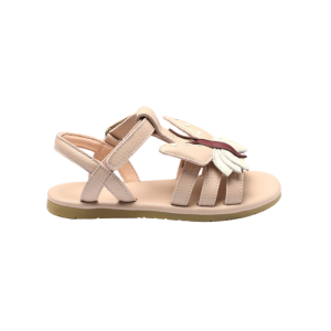  CL006/ROSE