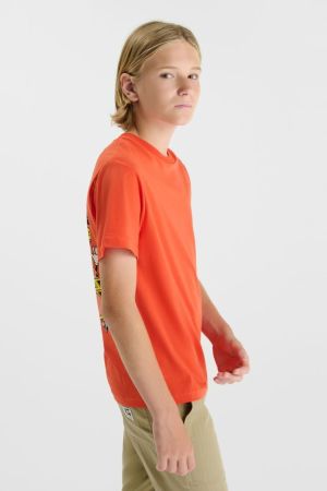  7032 WARM