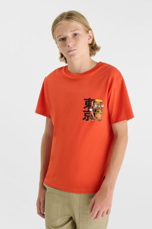  7032 WARM