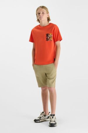  7032 WARM