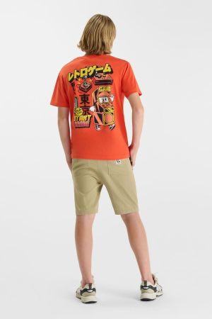  7032 WARM