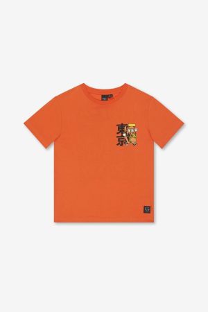  7032 WARM