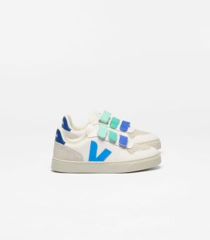  WHITE_EGEE