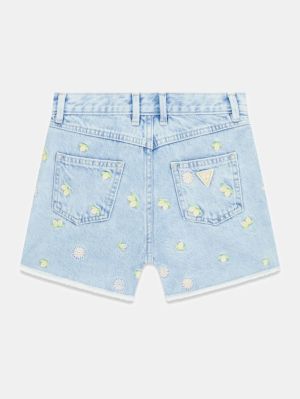 LEMON AND FLOWE
