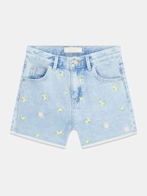 LEMON AND FLOWE