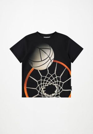  Basket Hoop Dk