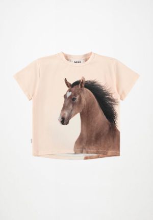  Wild Pony 5672