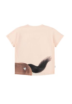  Wild Pony 5672