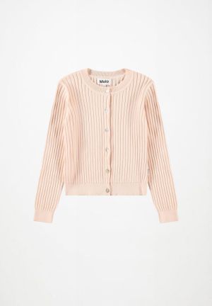 Cloud Pink 5647