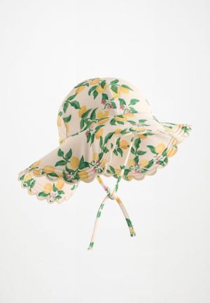  Mini Citrus 951